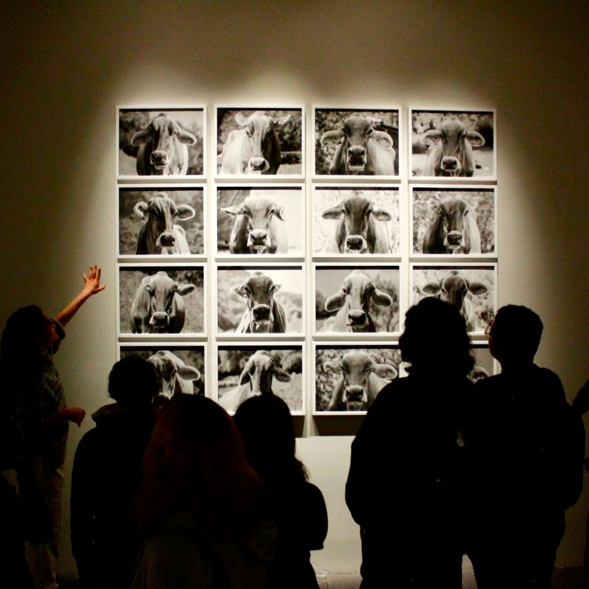 Visita Guiada por la muestra de la XX Bienal de Fotografía 2023