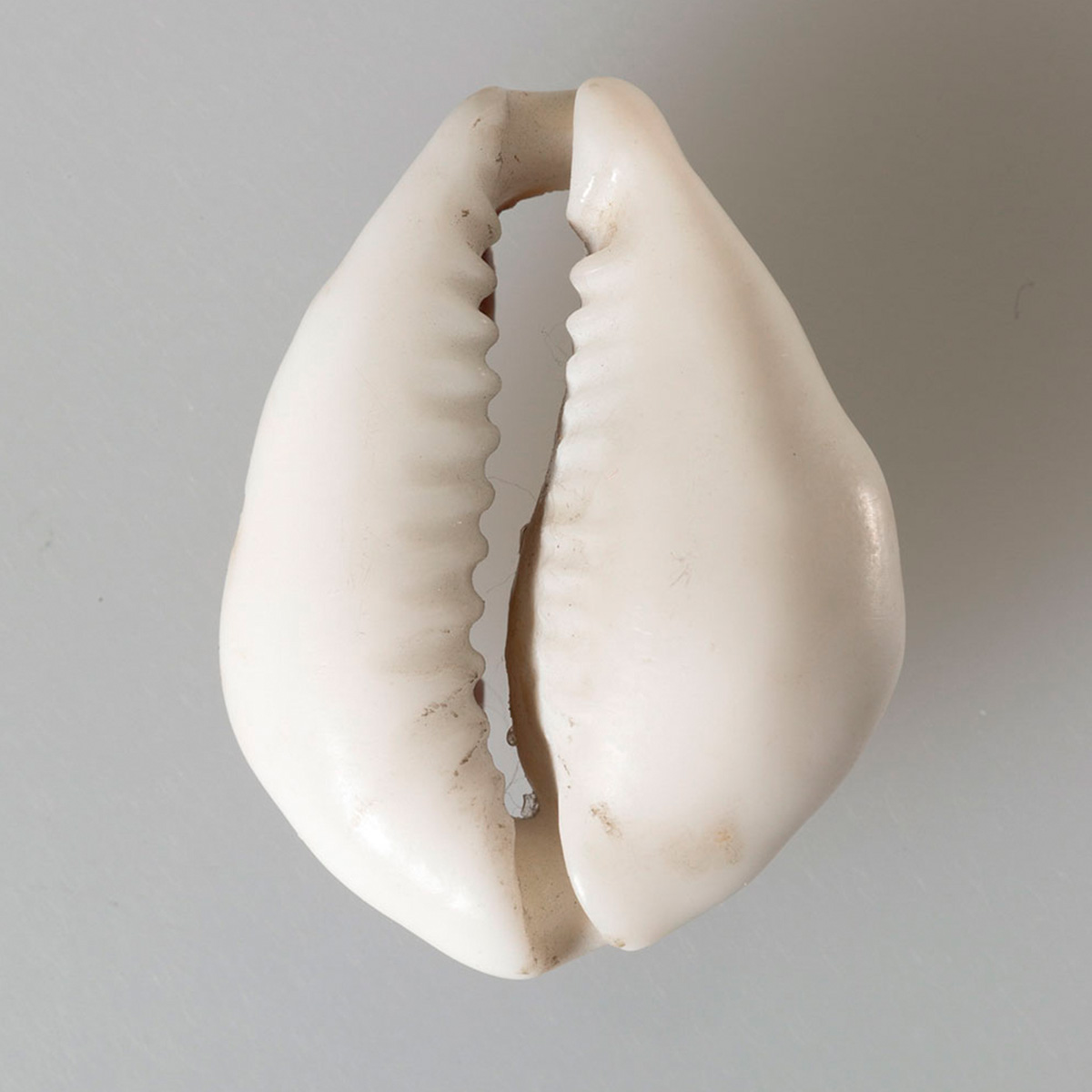 Yamileth soto desnuda