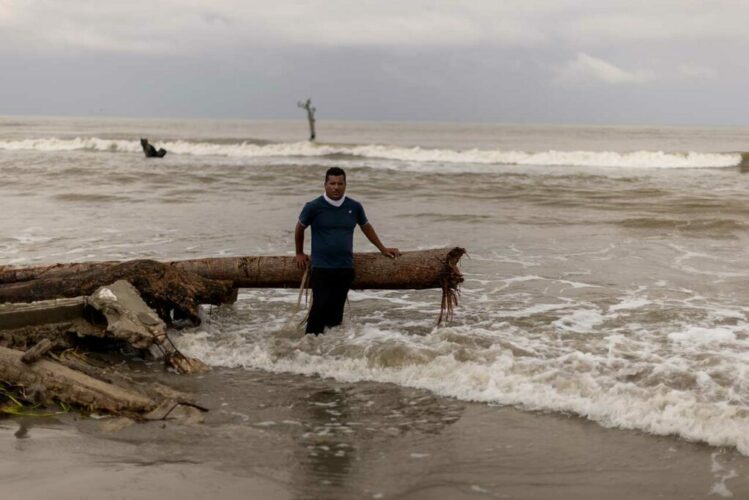 Gustavo Graf Maldonado El Bosque I