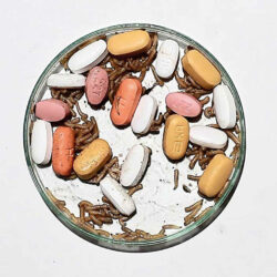 Jorge Bordello Jorge Bordello