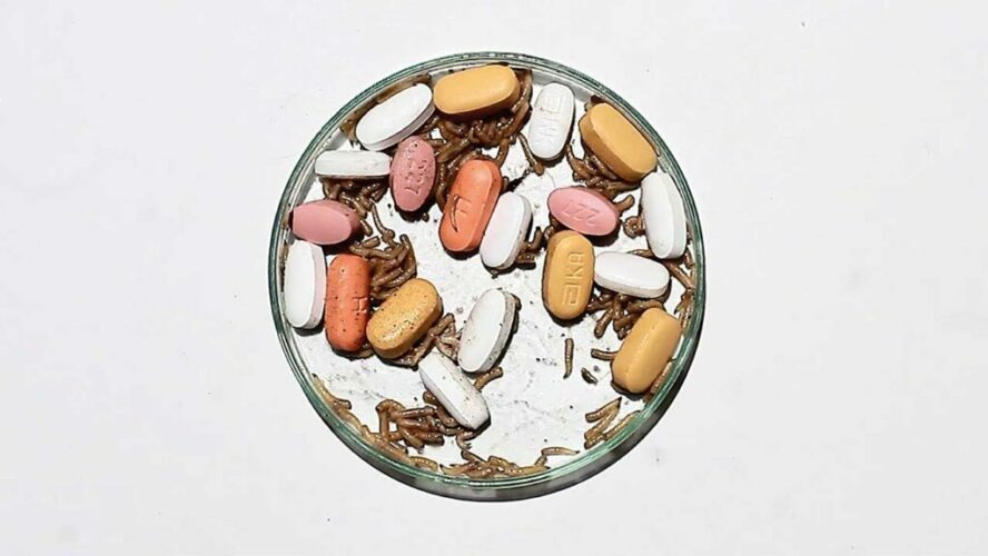 Jorge Bordello Ejercicios de adherencia I