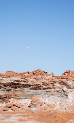 Alfredo Esparza, En la entraña Alfredo Esparza, En la entraña