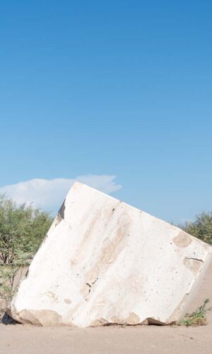 Alfredo Esparza, En la entraña Alfredo Esparza, En la entraña