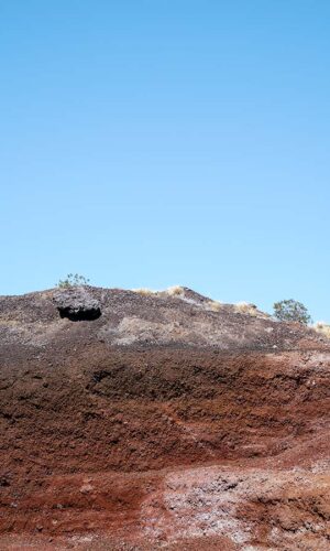 Alfredo Esparza, En la entraña Alfredo Esparza, En la entraña
