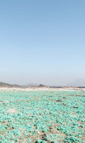 Alfredo Esparza, En la entraña Alfredo Esparza, En la entraña