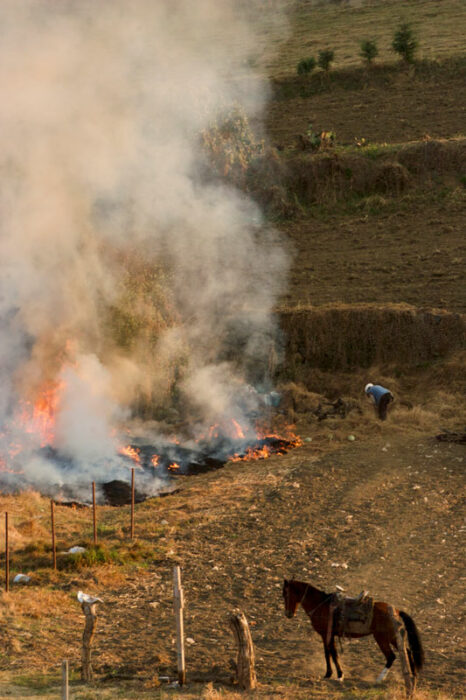 Arturo Alanís, Tales of the Deep South (Historias del Sur profundo), 2017 a la fecha.