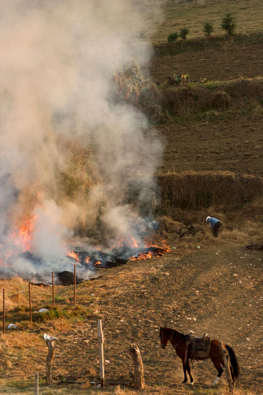 Arturo Alanís, Historias del Sur profundo Arturo Alanís, Historias del Sur profundo