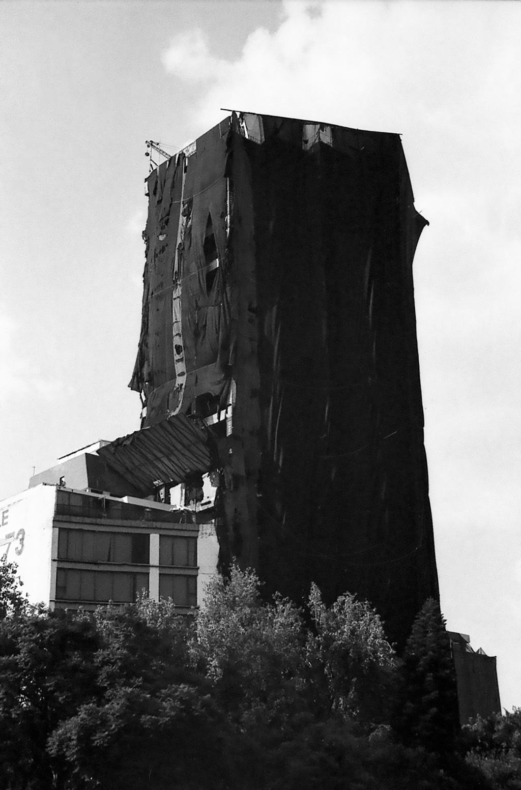 Mabe Guzmán, Oscura forma de pertenecer