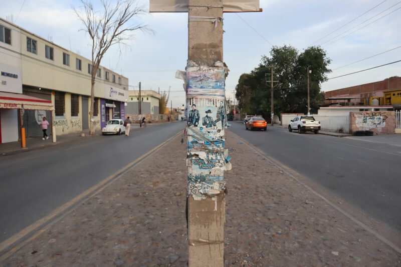 Alexis Mayel Alexis Mayel