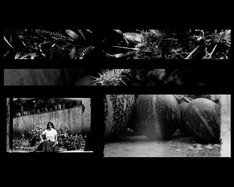 Christopher Aquino Campuzano. 005, de la serie De lo atávico y la intemperie, 2020.