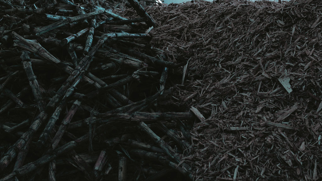 Mario Alberto Bravo, serie Bagazo, 2023.