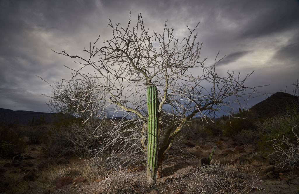 Alejandro Cossío, Estación Júpiter