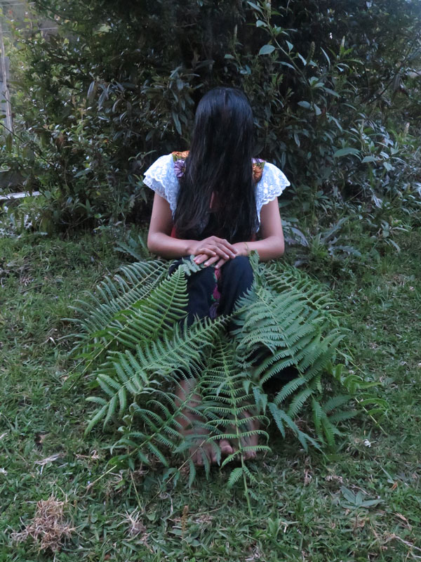 Ara Martínez, Conexiones