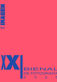 Captura de pantalla 2026-01-21 200255