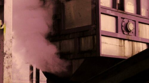 Mario Alberto Bravo, de la serie Bagazo, 2023 Mario Alberto Bravo, de la serie Bagazo, 2023