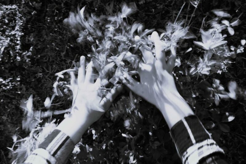 Mariana Luévano, Recuerdo de Sandra, 2024. Fotografía digital Mariana Luévano, Recuerdo de Sandra, 2024. Fotografía digital