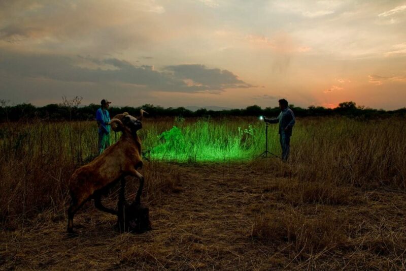 Ramón Portales, XXII, de la serie Asir el pasado, 2010-2011. Impresión cromógena Ramón Portales, XXII, de la serie Asir el pasado, 2010-2011. Impresión cromógena