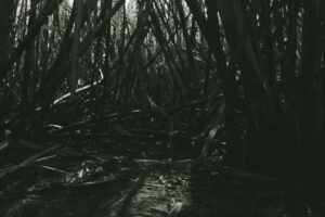 Mario Alberto Bravo, de la serie Bagazo, 2023 Mario Alberto Bravo, de la serie Bagazo, 2023