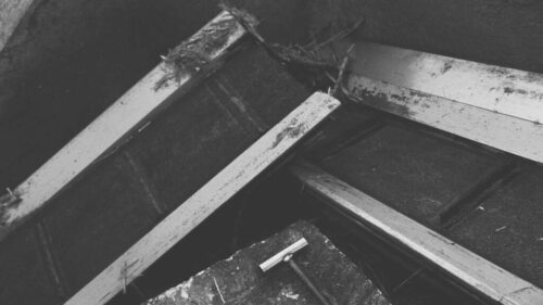 Mario Alberto Bravo, de la serie Bagazo, 2023 Mario Alberto Bravo, de la serie Bagazo, 2023