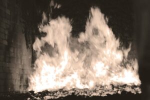 Mario Alberto Bravo, de la serie Bagazo, 2023 Mario Alberto Bravo, de la serie Bagazo, 2023