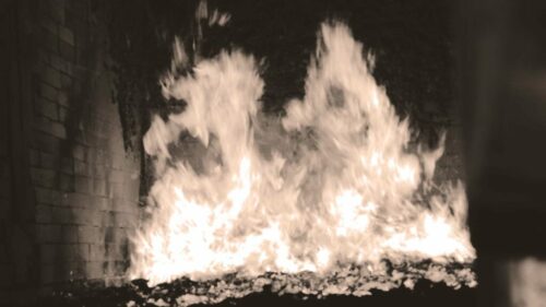 Mario Alberto Bravo, de la serie Bagazo, 2023 Mario Alberto Bravo, de la serie Bagazo, 2023