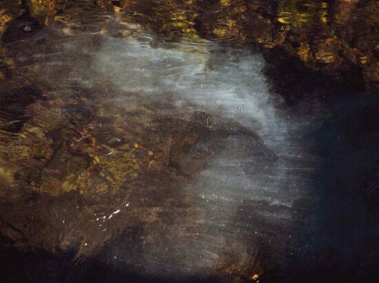 Roberto Elías (Acapulco, Guerrero, 1993) Territorio líquido, Acapulco, Guerrero, 2025 Fotografía digital Roberto Elías (Acapulco, Guerrero, 1993) Territorio líquido, Acapulco, Guerrero, 2025 Fotografía digital