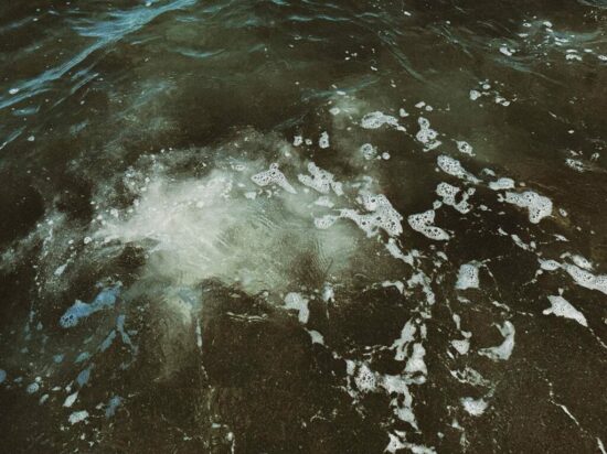 Roberto Elías (Acapulco, Guerrero, 1993) Territorio líquido, Acapulco, Guerrero, 2025 Fotografía digital Roberto Elías (Acapulco, Guerrero, 1993) Territorio líquido, Acapulco, Guerrero, 2025 Fotografía digital