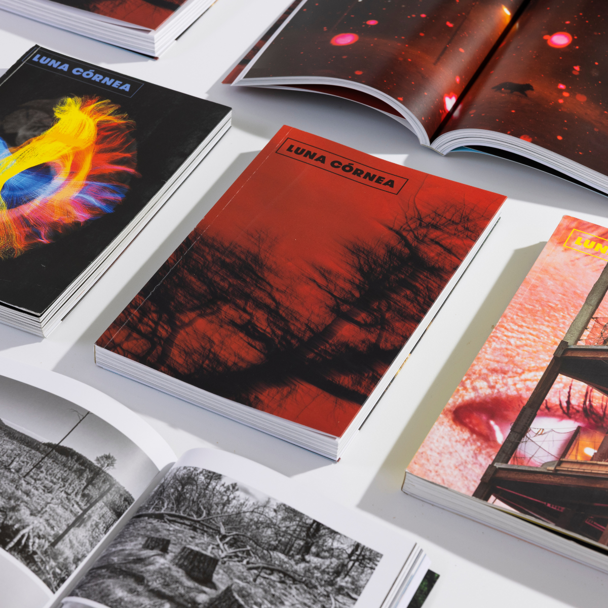 Revista-libro dedicada a la divulgación de la cultura fotográfica. Sus ediciones de carácter monográfico y bilingüe han abordado los más variados temas y trayectorias autorales, que se han destacado por la calidad de sus contenidos y la originalidad de sus tratamientos.